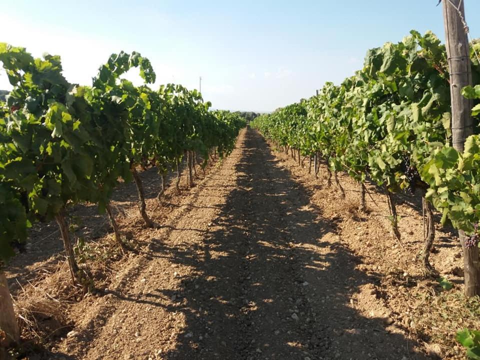 Le Sorelle Del Vino Marzamemi Exterior photo